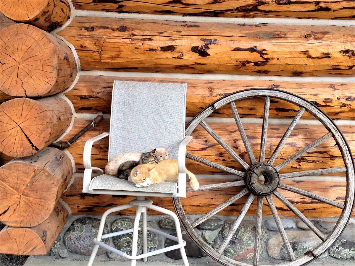 Mcdonald'S Ranch Lodge Гардинер Экстерьер фото
